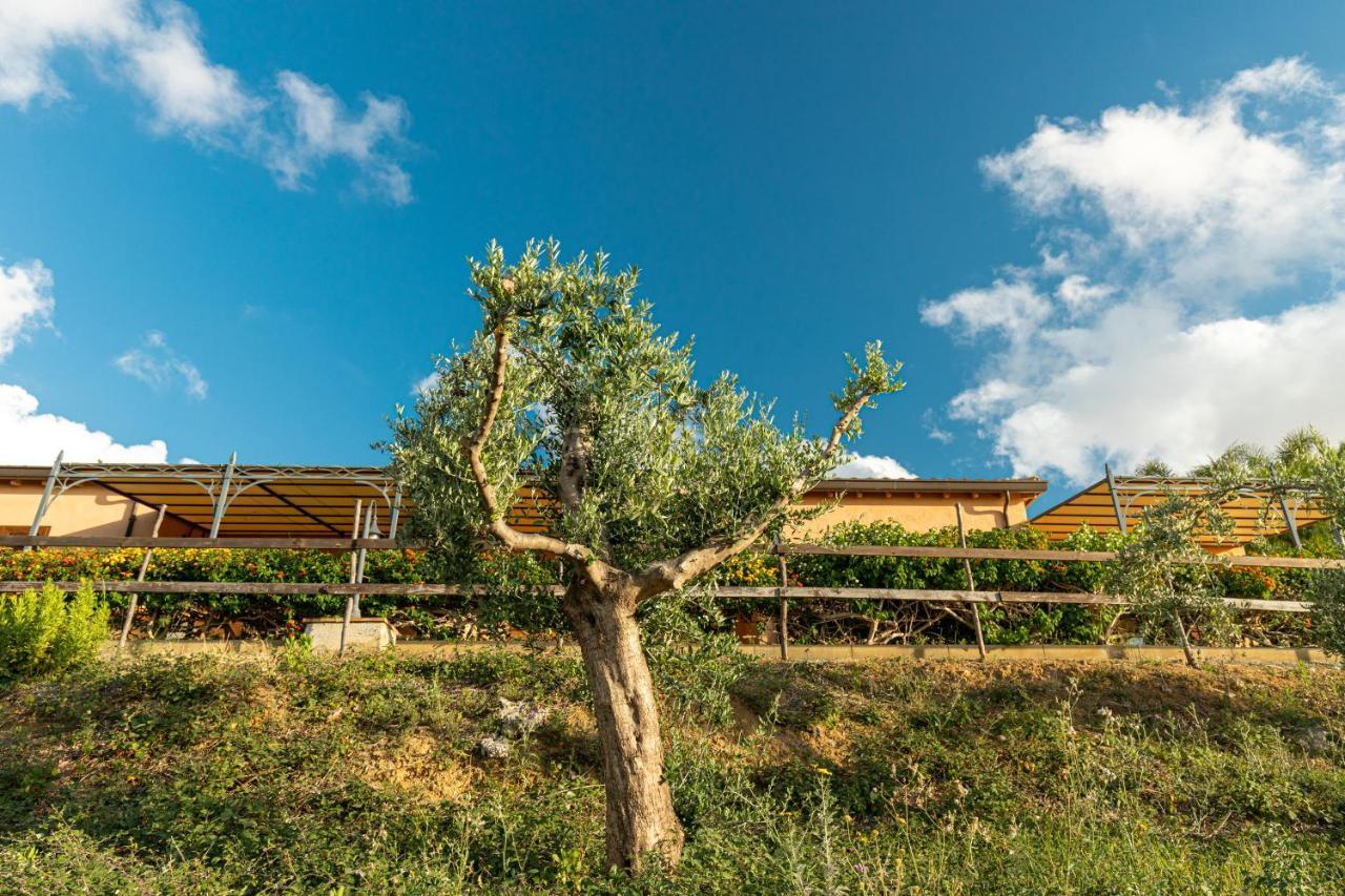 Solemar Sicilia - Le Casette Di Calzata กัมโปเฟลิเช ดิ โรชเชลลา ภายนอก รูปภาพ