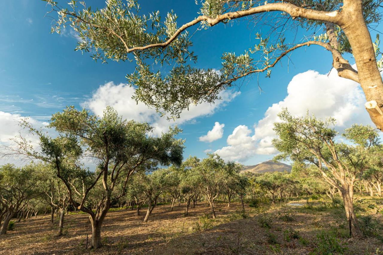 Solemar Sicilia - Le Casette Di Calzata กัมโปเฟลิเช ดิ โรชเชลลา ภายนอก รูปภาพ